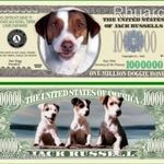 Jack Russell Terrier Kutya 1 millió dollár emlékpénz UNC No.204 fotó