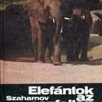 Szvjatoszlav Szaharnov: Elefántok az aszfalton fotó