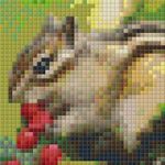 Pixel szett 1 normál alaplappal, színekkel, csíkos mókus (801236) fotó