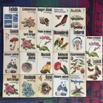 Búvár- és Kolibri zsebkönyvek, Könyvcsomag fotó