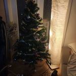 műfenyő, karácsonyfa fotó