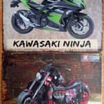 Dekorációs fém tábla ( KAWASAKI NINJA - EXTREM MOTORCYCLE) fotó