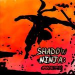 Shadow Ninja: Apocalypse (PC - Steam elektronikus játék licensz) fotó