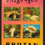 1973. Bhutan , Gombák dimenziós blokk ( 50 € ) fotó