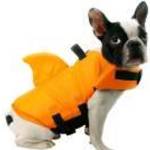 Cápauszonyos mentőmellény kutyák számára, narancssárga, S-es (6-8 kg) - Happy Bulldog fotó