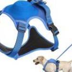 Húzásmentes kutyahám beépített visszahúzódó pórázzal, kék L-es - HB fotó