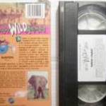 NG-Táncos Szafari (jogtiszta) teszteletlen (csak VHS-en adták ki) fotó