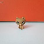 Eredeti Hasbro LPS Littlest Pet Shop mosómedve kisállat állatfigura ! LPS 953 fotó