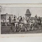 Budapest lóverseny pálya ötös fogat ló lovas szekér katona 1940 KÉPESLAP fotó