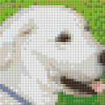 Pixel szett 1 normál alaplappal, színekkel, kutya, labrador (801303) fotó