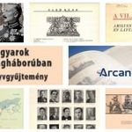 Magyarok az I. világháborúban – 48 ezer oldal, 24GB – eladó könyvgyűjtemény fotó