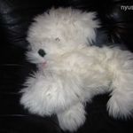 Nagy műszőrme kutya fehér-szürke hossza 40cm ölelgetős mosható újsz. fotó