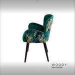Designer székek, WOODY karosszék, készletkisöprés fotó