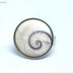 Ezüst gyűrű 5.22 csiga: operkulum, aranymetszés fotó