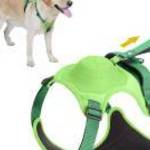 Húzásmentes kutyahám beépített visszahúzódó pórázzal, zöld M-es - HB fotó