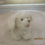 Fehér plüss kutya(HIBÁS), akár 1FT-ért! fotó