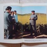 Kim Ir Szen szeretett vezető Észak-Korea KNDK mezőgazdaság kommunista képes album 1983 traktor fotó