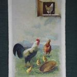 Képeslap, artist, művészet, ornitológia, madár , baromfiudvar, kakas, tyúk , csibe, ünnep, húsvét , 1920- fotó