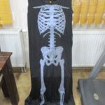 1354. Csontváz jelmez (XL) fotó