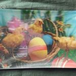 képeslap, dimenziós , ünnep húsvét csirke tojás fotó