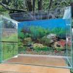 60 literes Akvárium eladó Tetra szűrővel, levegőztetővel. fotó