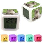 Sziámi macska 42 színváltós világító óra ébresztő hőmérő fotó