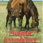 Magyar lovaskönyv fotó
