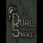 Dual Snake (PC - Steam elektronikus játék licensz) fotó