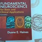 Fundamental Neuroscience (angol nyelvű) orvosi tankönyv fotó