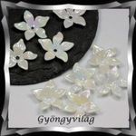 Gyöngyök: gyanta/virág BGYV 09-23 8db/csomag fotó