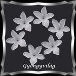 Gyöngyök: gyanta/virág BGYV 08-28 6db/csomag fotó