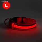 Világítós kutya nyakörv L-es méret - piros - USB-s tölthető fotó