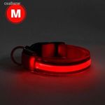 Világítós kutya nyakörv M-es méret - piros - USB-s tölthető fotó