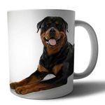 Rottweiler 3 mintás porcelán bögre fotó