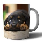 Rottweiler 4 mintás porcelán bögre fotó