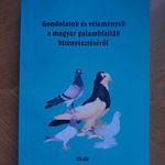 Gondolatok és vélemények a magyar galambfajták kitenyésztéséről / galamb, galambászat, galambok fotó