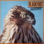 ROCK Blackfoot - Marauder (12" Vinyl LP) fotó