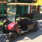 Eladó Egzo elektromos golfautó, golfkocsi (V-2291) fotó