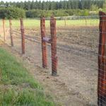 vadháló kerítésépítés kerítésdrót szögesdrót oszlop fotó