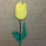Öt szál kézműves tulipán fotó