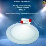 12W-os, energiatakarékos LED Panel fotó