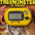 Zoo Med Digital Terrarium Thermometer (digitális hőmérő) - ZOO MED fotó