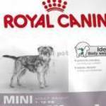 Royal Canin SHN Mini Sterilized 8 kg (10 hónapostól) fotó