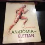 Anatómia - Élettan Donáth Tibor ingyen posta fotó