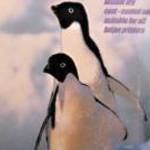 Fotópapír Penguins 10X15cm, 230 gr, glossy (fényes) eladó! fotó