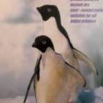 Fotópapír Penguins A4, 230 gr, glossy (fényes) eladó! fotó