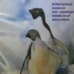 Fotópapír Penguins A4, 180 gr, glossy (fényes) eladó! fotó
