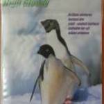 Fotópapír Penguins 10X15cm, 180 gr, glossy (fényes) eladó! fotó