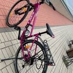 Kellys Pheebe 10 Raspberry S női crosstrekking kerékpár fotó