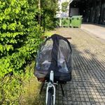 Eladó Cangoo teherbicikli Frissen szervizelt, új lámpával fotó
